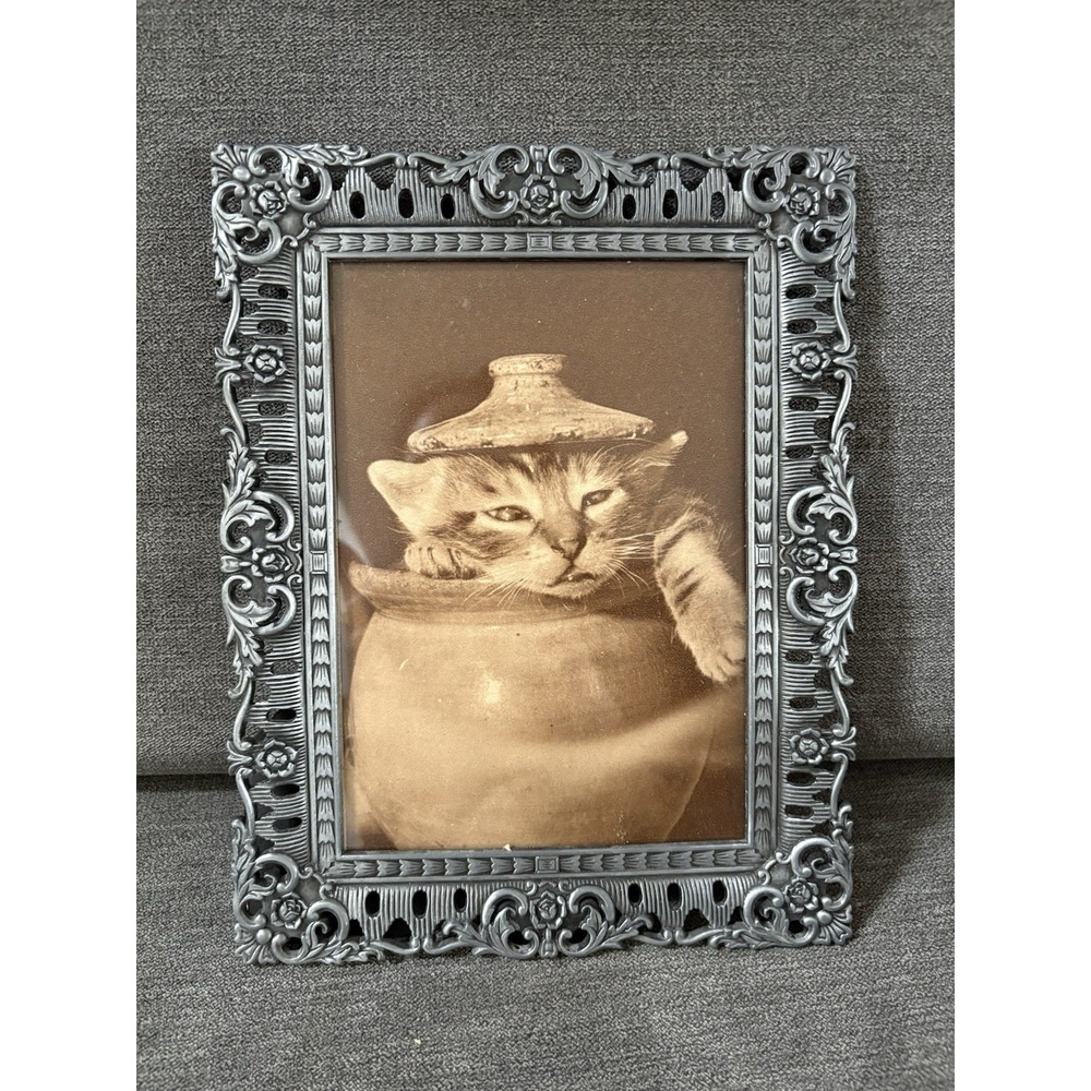 Vintage Cat Ephemera Newspaper Magazine‎ Clipping Framed Art